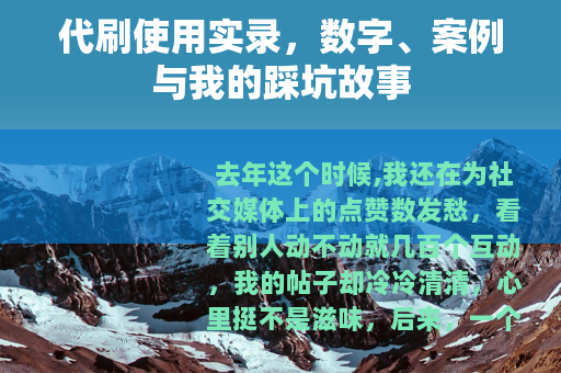 代刷使用实录，数字、案例与我的踩坑故事
