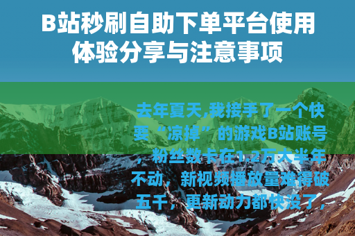 B站秒刷自助下单平台使用体验分享与注意事项