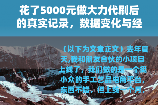花了5000元做大力代刷后的真实记录，数据变化与经验反思