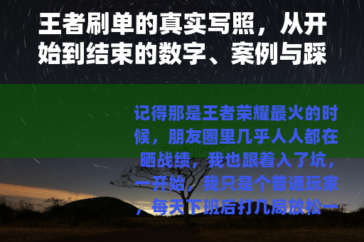 王者刷单的真实写照，从开始到结束的数字、案例与踩坑经历