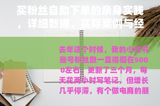 买粉丝自助下单的亲身实践，详细数据、实际案例与经验教训分享