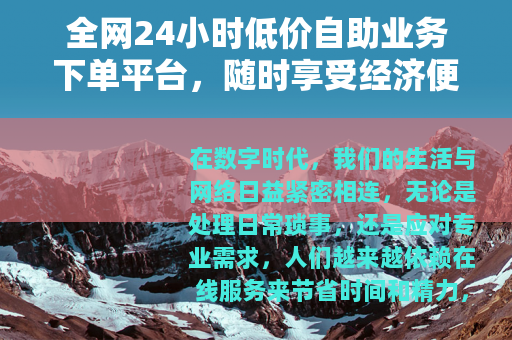 全网24小时低价自助业务下单平台，随时享受经济便捷的在线服务