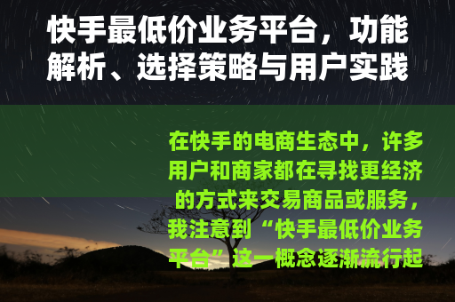 快手最低价业务平台，功能解析、选择策略与用户实践全指南
