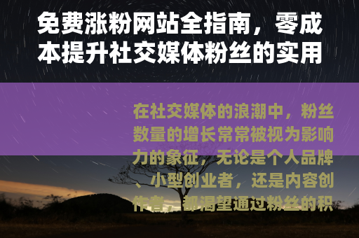 免费涨粉网站全指南，零成本提升社交媒体粉丝的实用方法