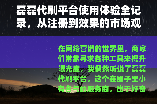 磊磊代刷平台使用体验全记录，从注册到效果的市场观察