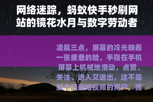 网络迷踪，蚂蚁快手秒刷网站的镜花水月与数字劳动者侧影