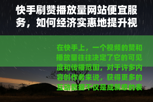 快手刷赞播放量网站便宜服务，如何经济实惠地提升视频影响力