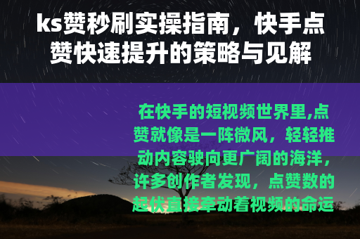 ks赞秒刷实操指南，快手点赞快速提升的策略与见解