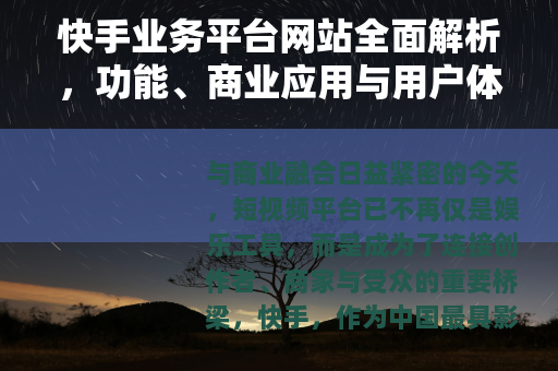 快手业务平台网站全面解析，功能、商业应用与用户体验深度指南