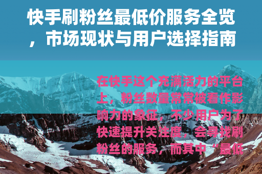 快手刷粉丝最低价服务全览，市场现状与用户选择指南