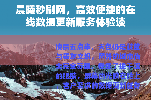 晨曦秒刷网，高效便捷的在线数据更新服务体验谈