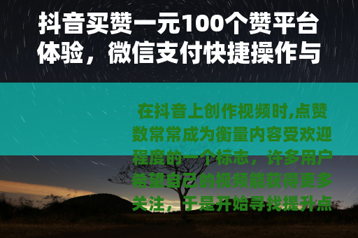 抖音买赞一元100个赞平台体验，微信支付快捷操作与使用心得