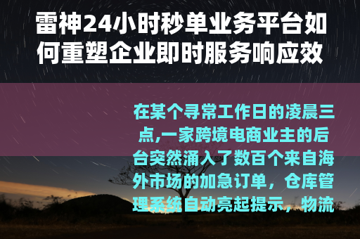 雷神24小时秒单业务平台如何重塑企业即时服务响应效率
