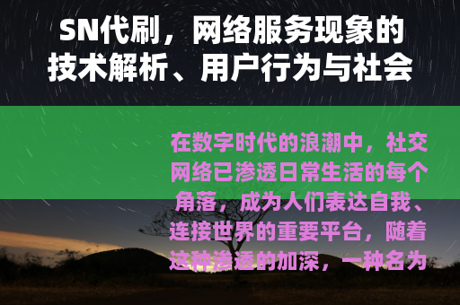 SN代刷，网络服务现象的技术解析、用户行为与社会效应深度探讨