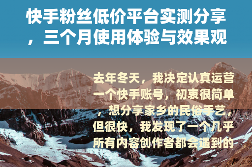 快手粉丝低价平台实测分享，三个月使用体验与效果观察