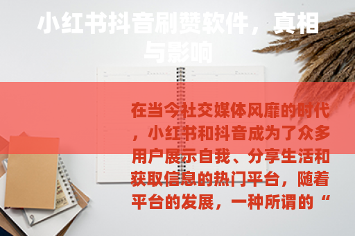 小红书抖音刷赞软件，真相与影响