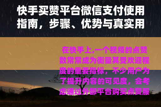 快手买赞平台微信支付使用指南，步骤、优势与真实用户分享