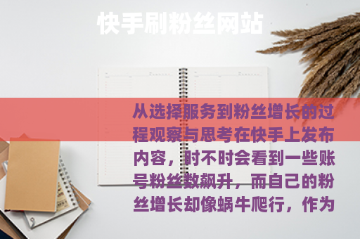 快手刷粉丝网站