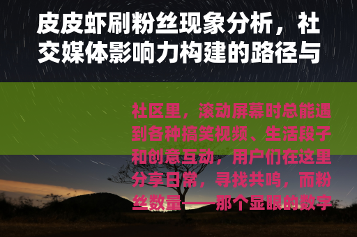 皮皮虾刷粉丝现象分析，社交媒体影响力构建的路径与思考