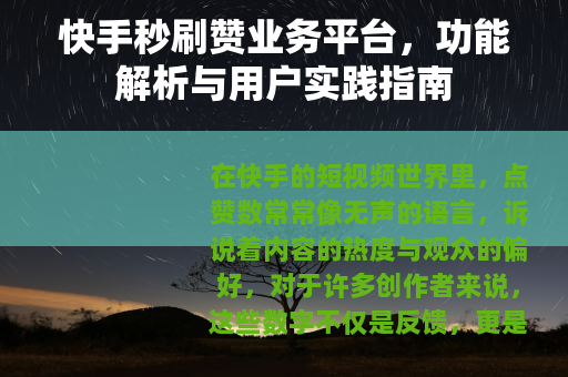 快手秒刷赞业务平台，功能解析与用户实践指南