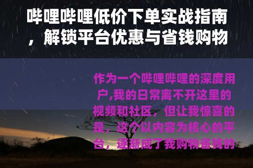 哔哩哔哩低价下单实战指南，解锁平台优惠与省钱购物秘籍
