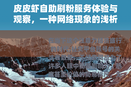 皮皮虾自助刷粉服务体验与观察，一种网络现象的浅析
