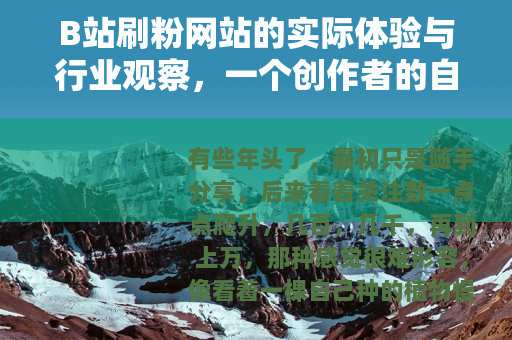 B站刷粉网站的实际体验与行业观察，一个创作者的自述