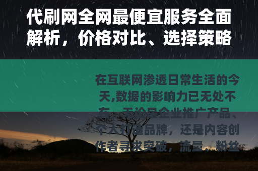 代刷网全网最便宜服务全面解析，价格对比、选择策略与用户体验分享