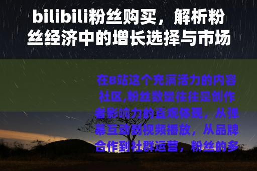 bilibili粉丝购买，解析粉丝经济中的增长选择与市场动态