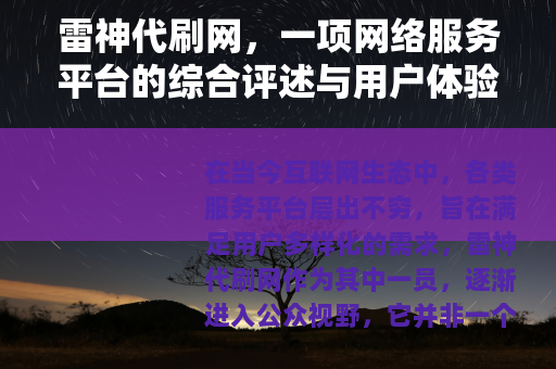 雷神代刷网，一项网络服务平台的综合评述与用户体验深度分享