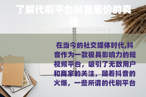 了解代刷平台抖音底价的真相