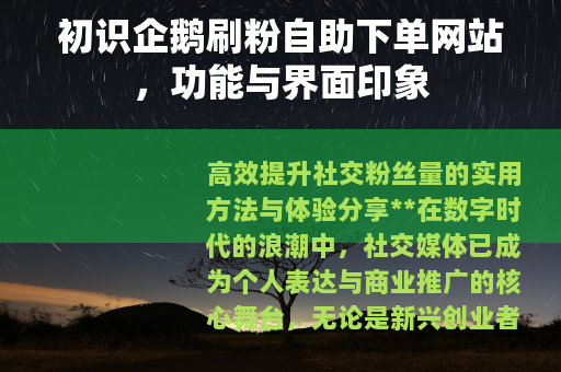 初识企鹅刷粉自助下单网站，功能与界面印象