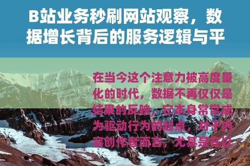 B站业务秒刷网站观察，数据增长背后的服务逻辑与平台生态影响