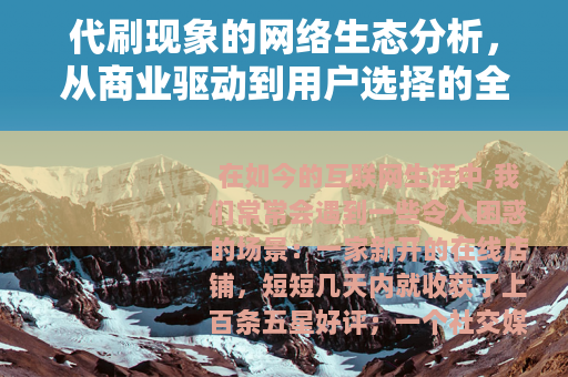 代刷现象的网络生态分析，从商业驱动到用户选择的全视角解读