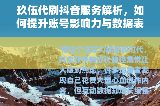 玖伍代刷抖音服务解析，如何提升账号影响力与数据表现