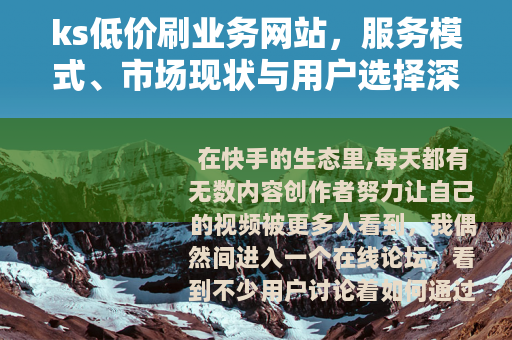 ks低价刷业务网站，服务模式、市场现状与用户选择深度解析