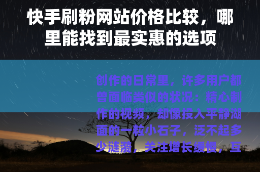 快手刷粉网站价格比较，哪里能找到最实惠的选项