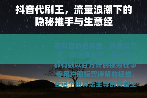 抖音代刷王，流量浪潮下的隐秘推手与生意经