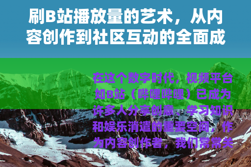 刷B站播放量的艺术，从内容创作到社区互动的全面成长指南