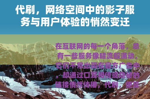 代刷，网络空间中的影子服务与用户体验的悄然变迁