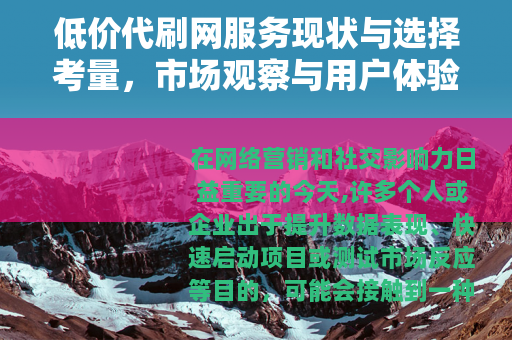 低价代刷网服务现状与选择考量，市场观察与用户体验分析