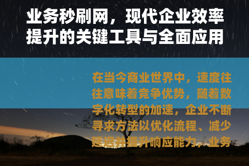 业务秒刷网，现代企业效率提升的关键工具与全面应用解析