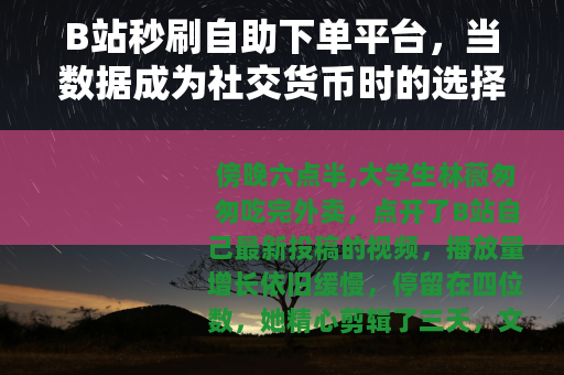B站秒刷自助下单平台，当数据成为社交货币时的选择与回响