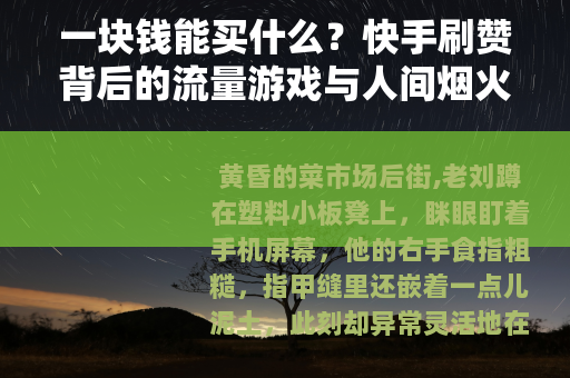 一块钱能买什么？快手刷赞背后的流量游戏与人间烟火