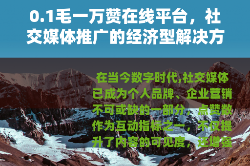 0.1毛一万赞在线平台，社交媒体推广的经济型解决方案与使用洞察