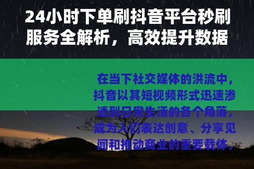 24小时下单刷抖音平台秒刷服务全解析，高效提升数据与影响力之道