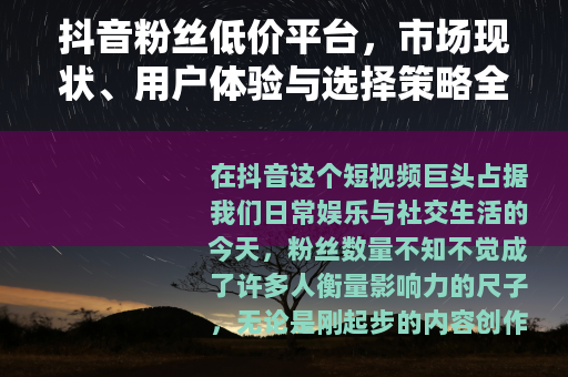 抖音粉丝低价平台，市场现状、用户体验与选择策略全解析