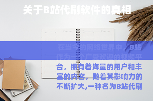 关于B站代刷软件的真相
