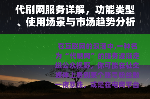 代刷网服务详解，功能类型、使用场景与市场趋势分析