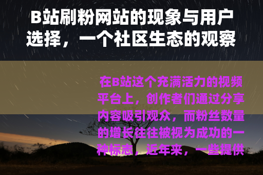 B站刷粉网站的现象与用户选择，一个社区生态的观察